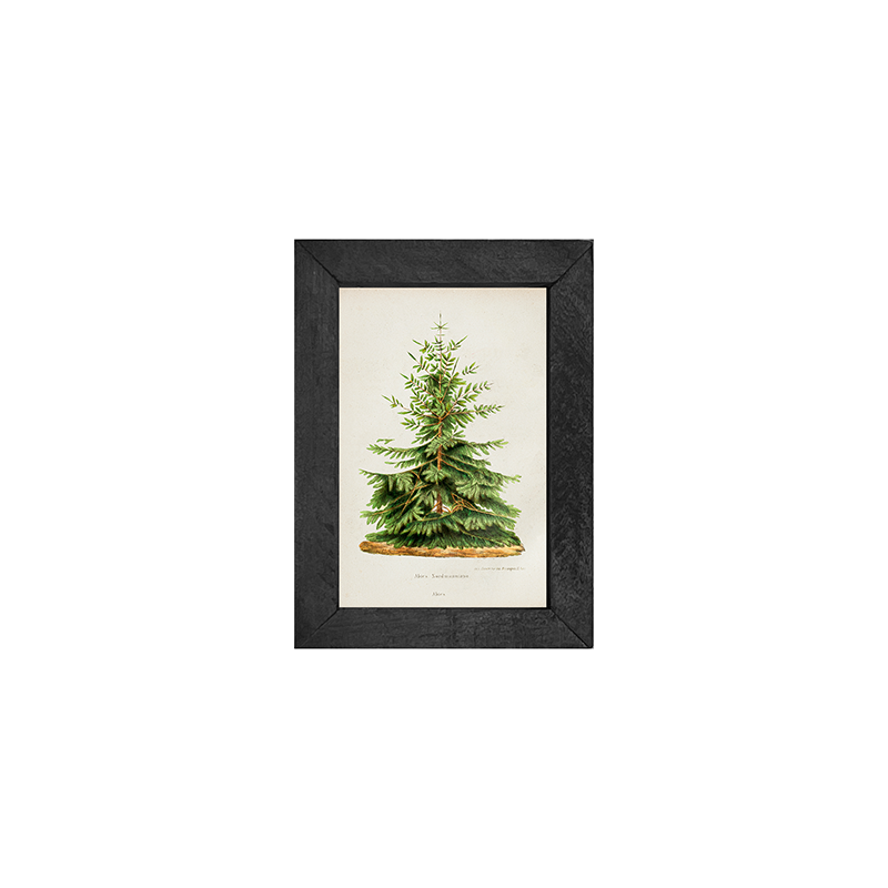 Vintage Tree- 2