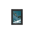 Gallery Frame