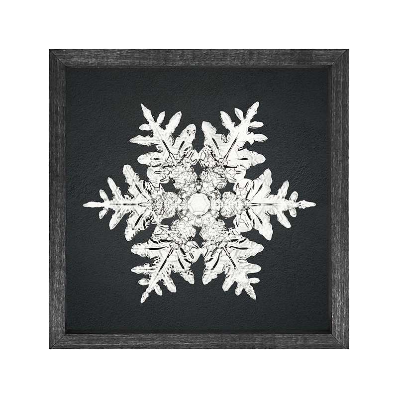 Snowflake-a