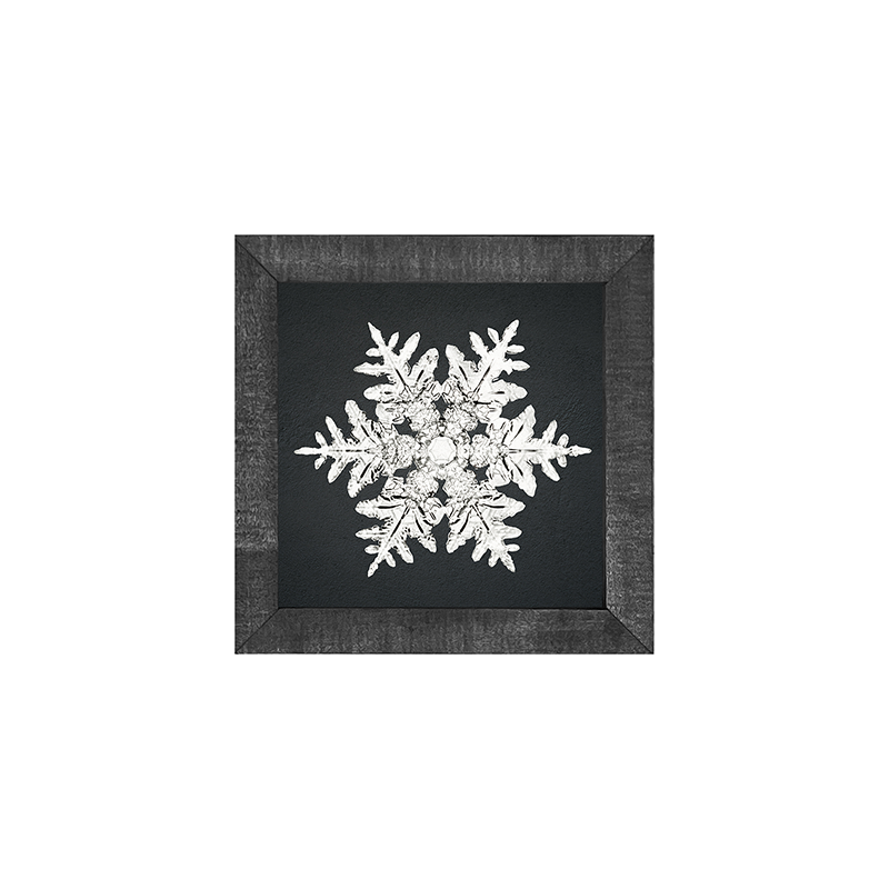 Snowflake-a