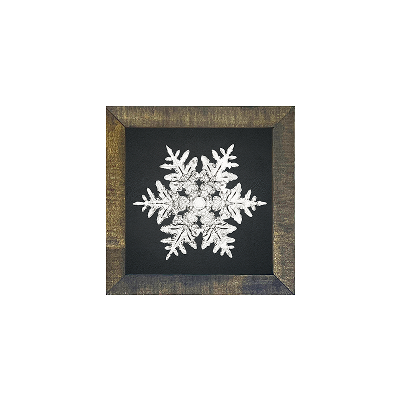 Snowflake-a