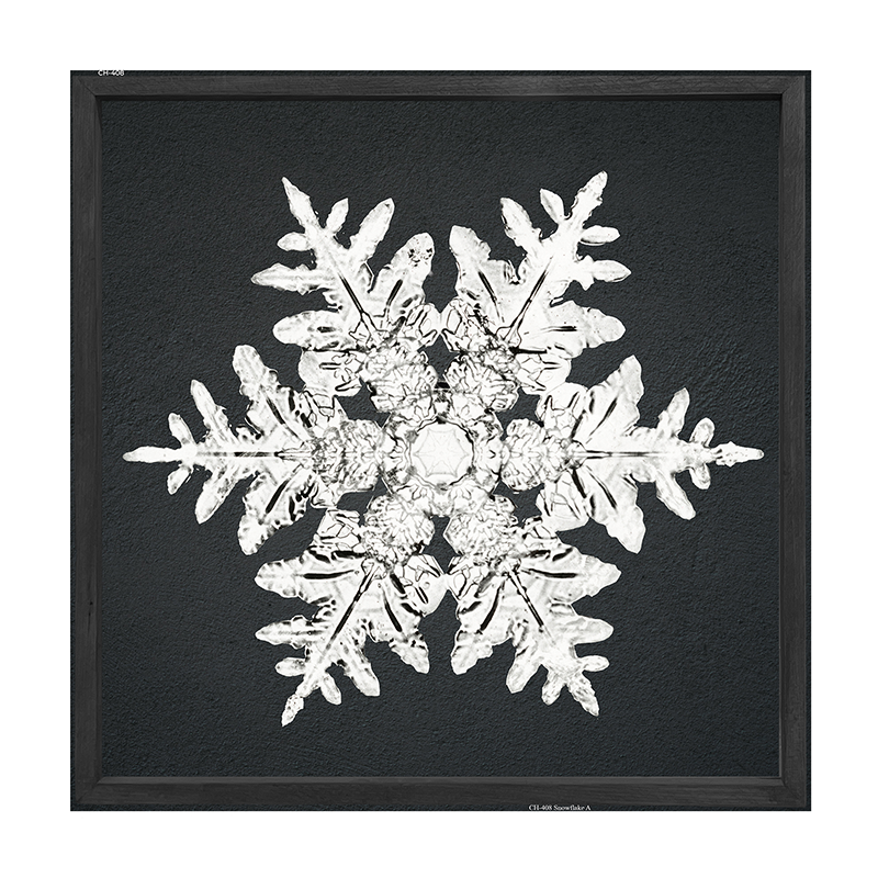 Snowflake-a