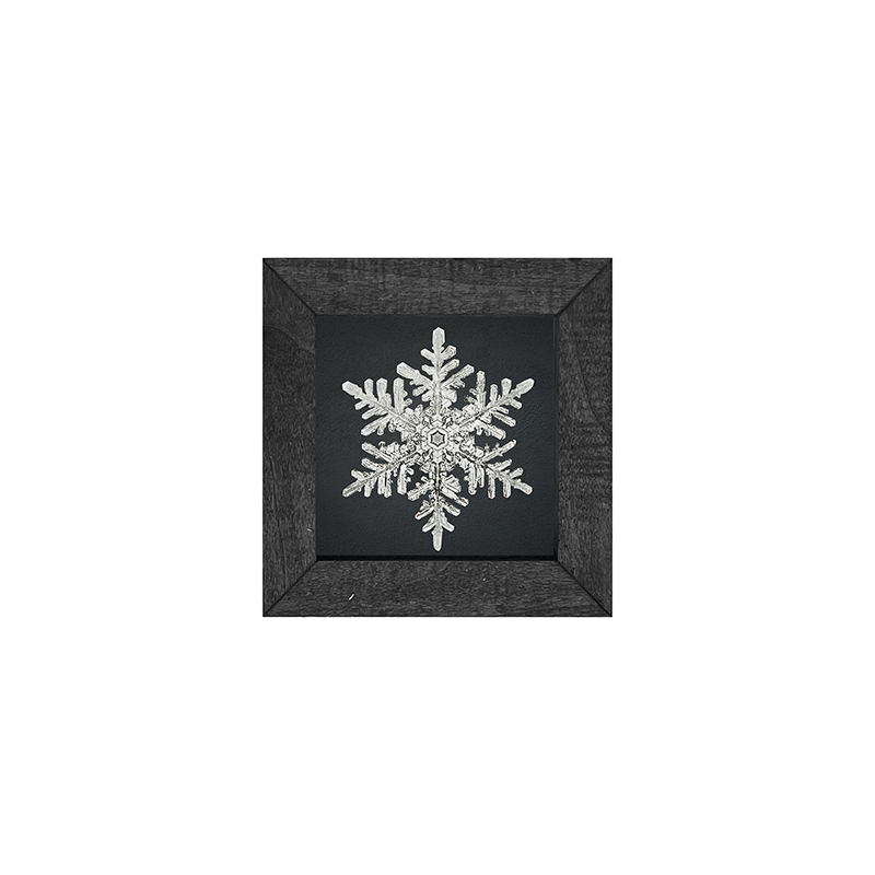 Snowflake-b