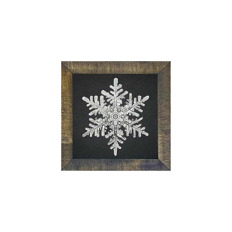 Snowflake-b