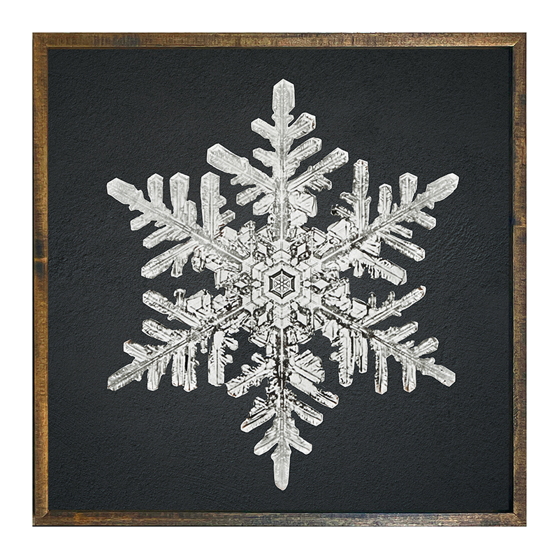 Snowflake-b