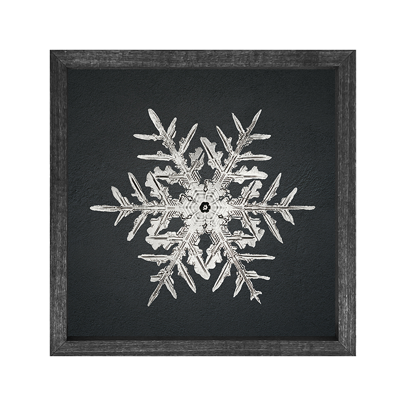 Snowflake-c
