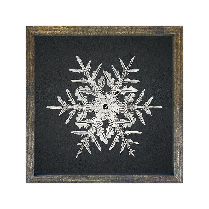 Snowflake-c