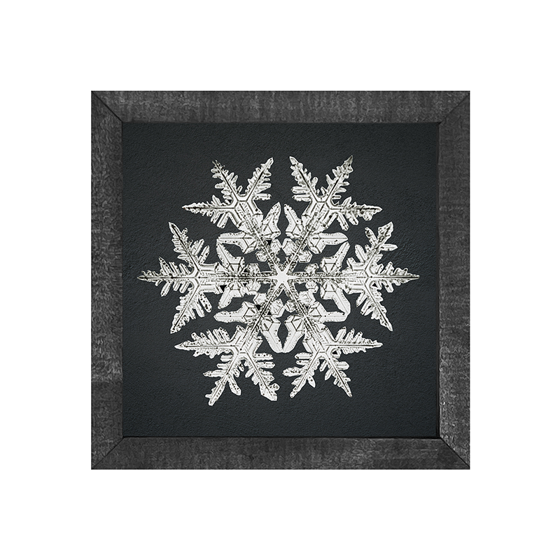 Snowflake-d