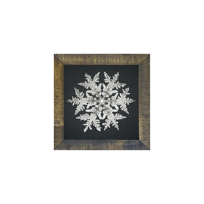 Snowflake-d