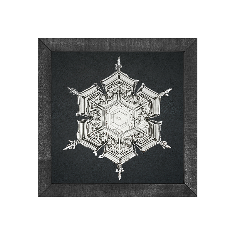 Snowflake-e