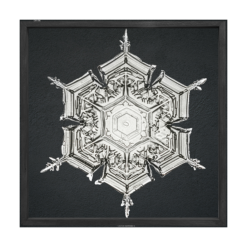 Snowflake-e