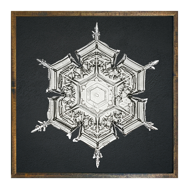 Snowflake-e