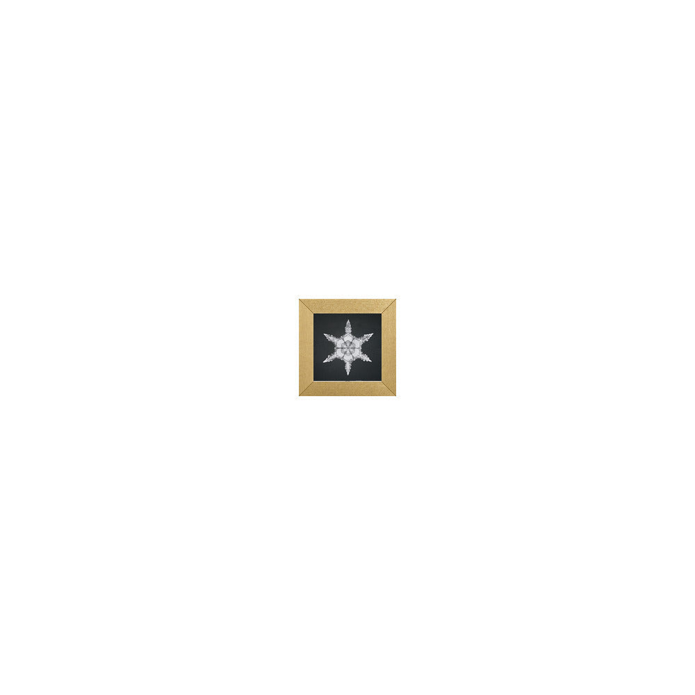 CH-418 in Metallic Gold Gallery Frame, M