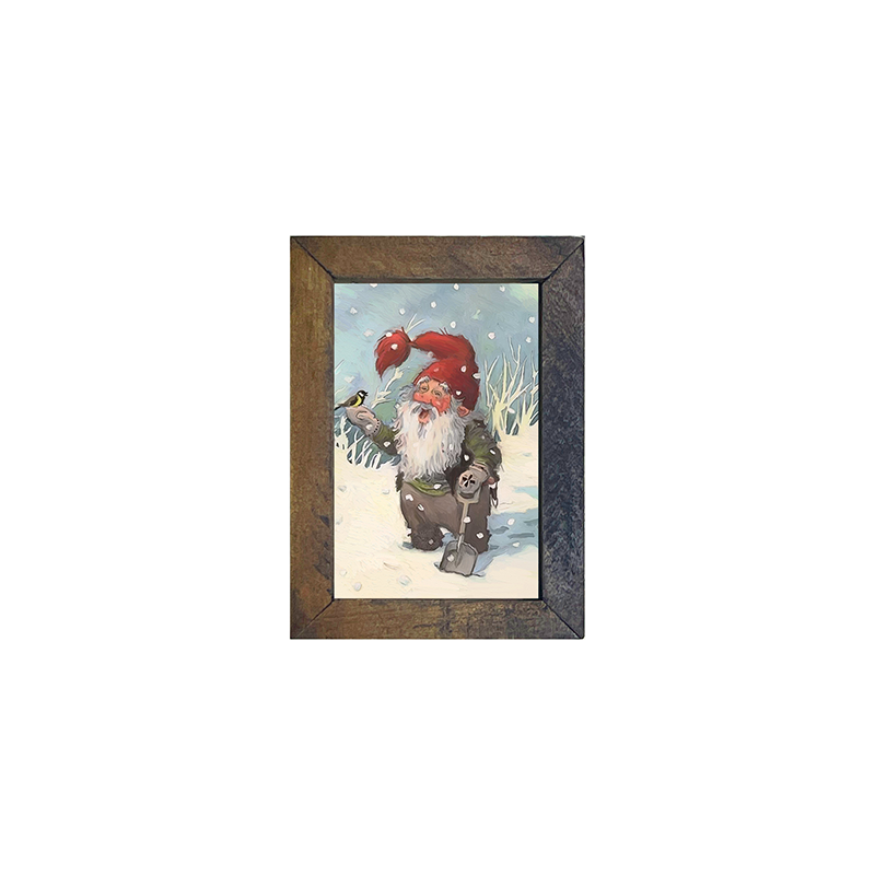 Winter Gnome