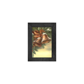Gallery Frame