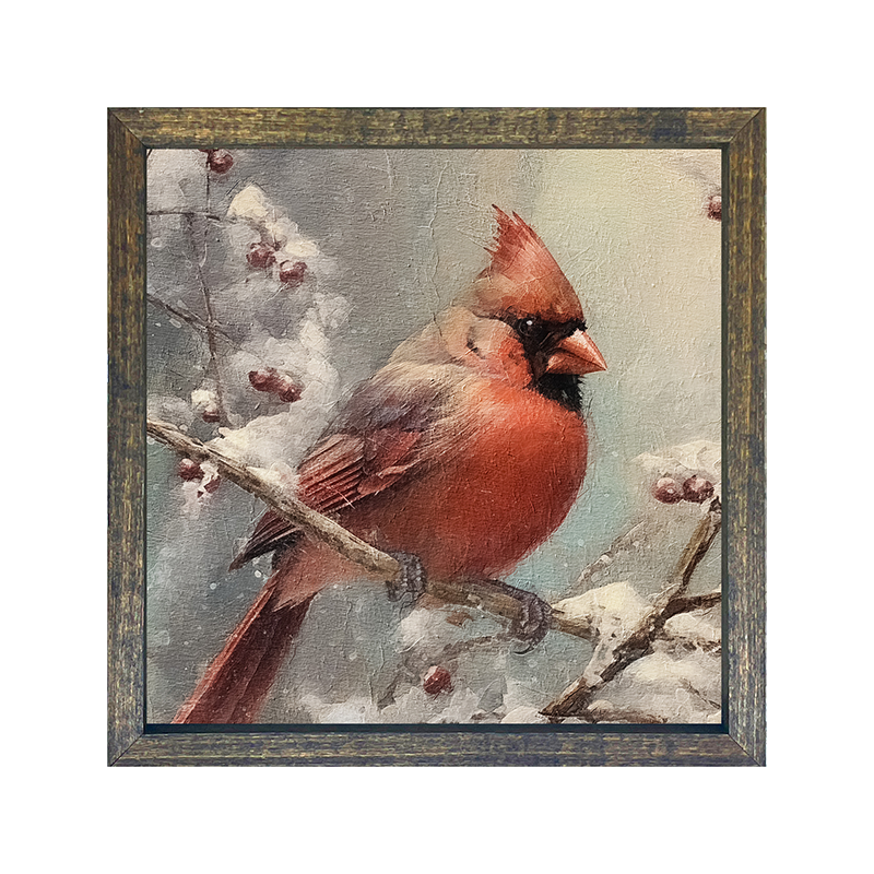 Cardinal in winter
