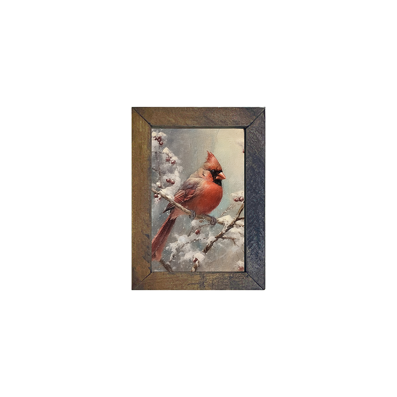 Cardinal in winter