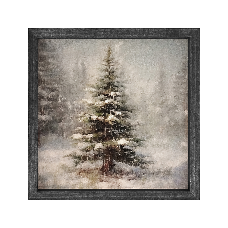 Winter conifer