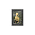 Gallery Frame