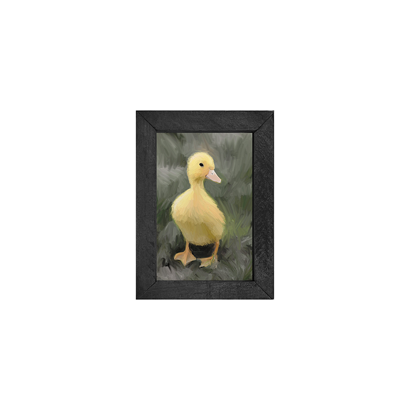 Baby Duck