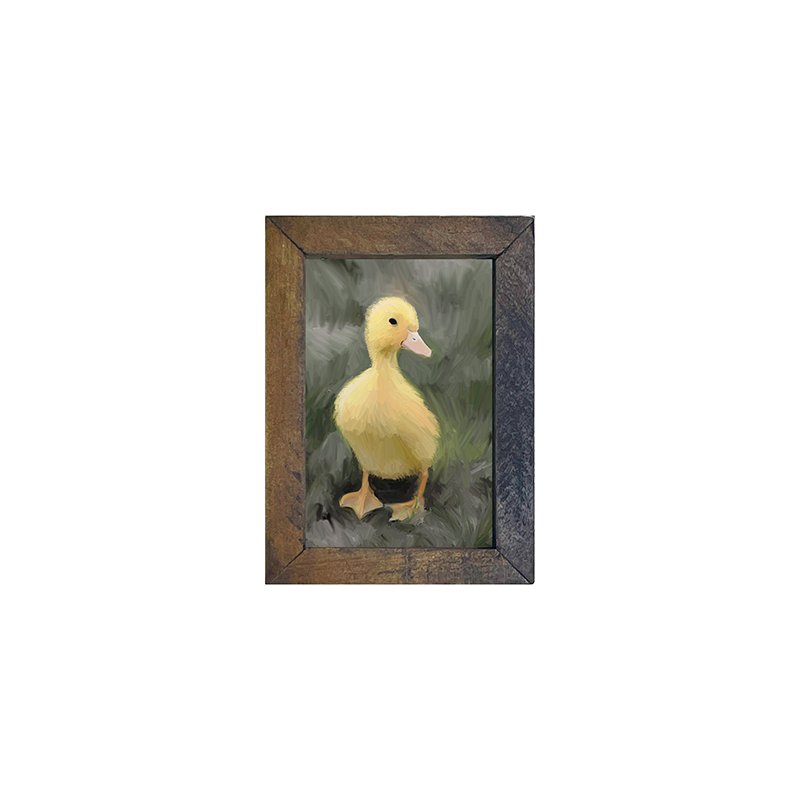 Baby Duck