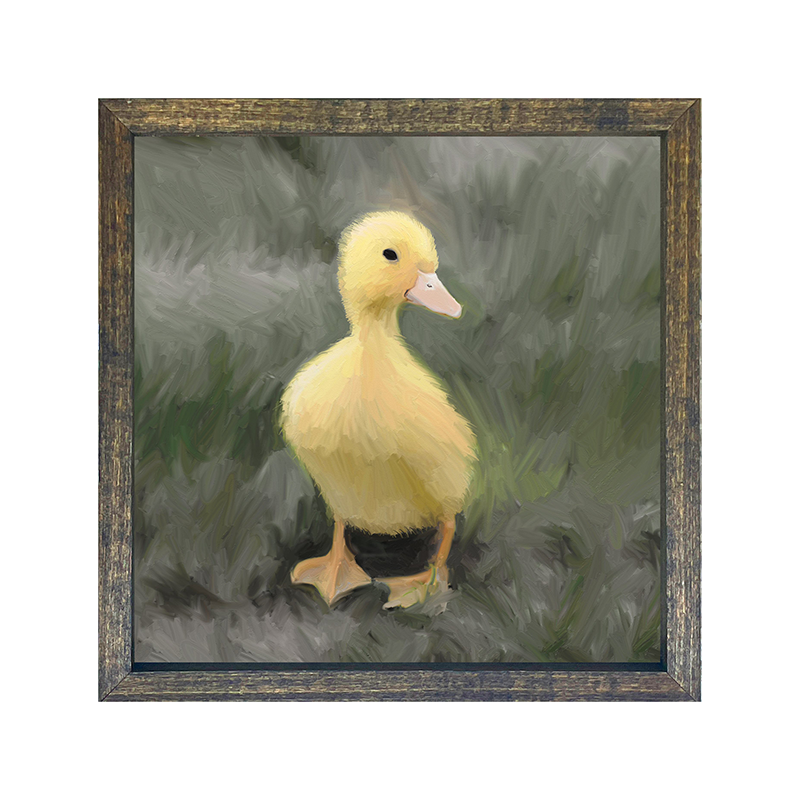 Baby Duck