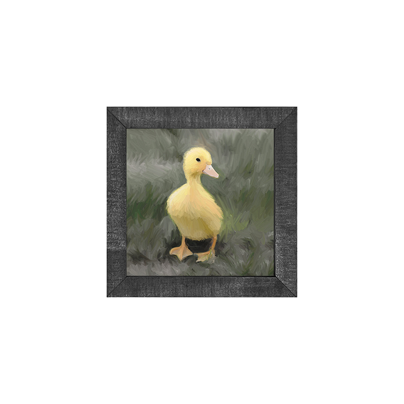 Baby Duck