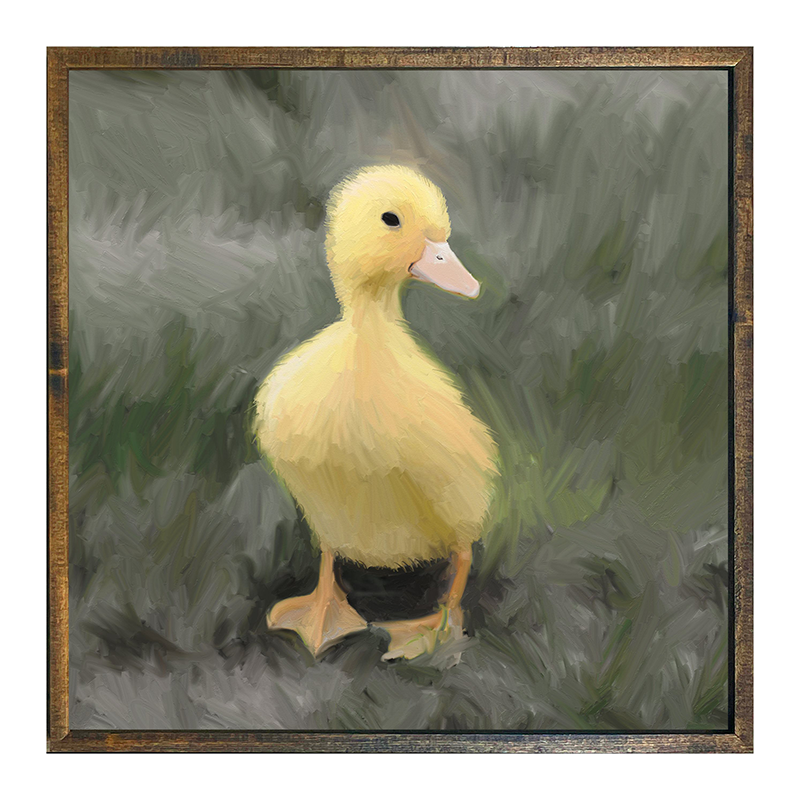 Baby Duck