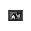 Gallery Frame