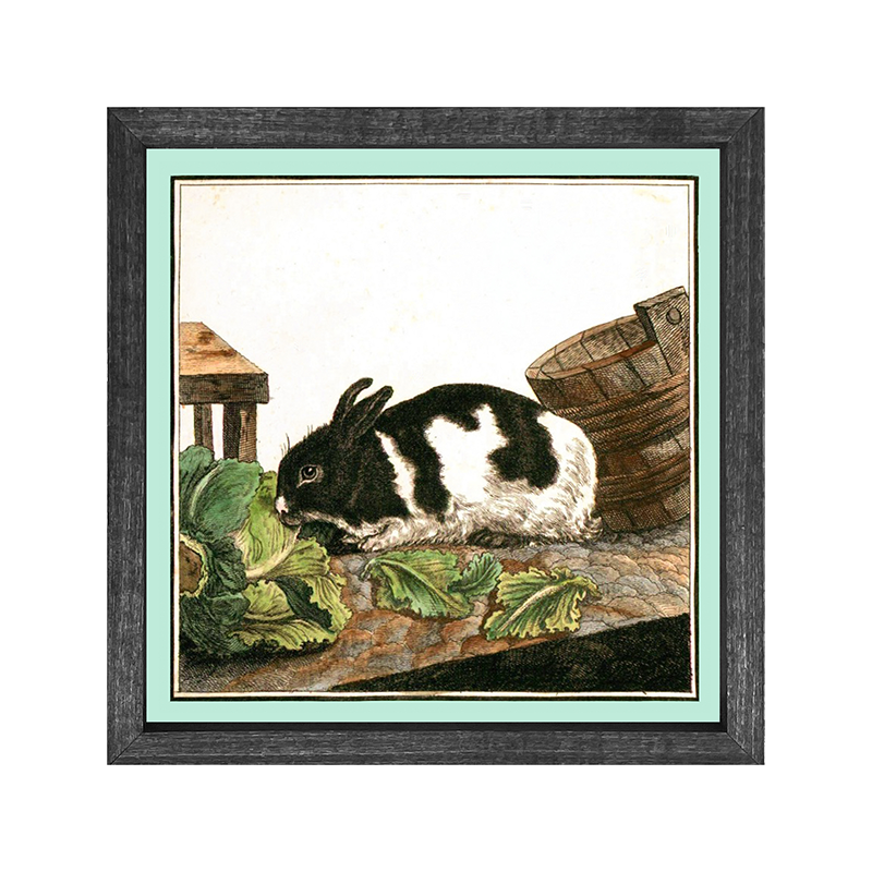 Vintage Black & White Bunny