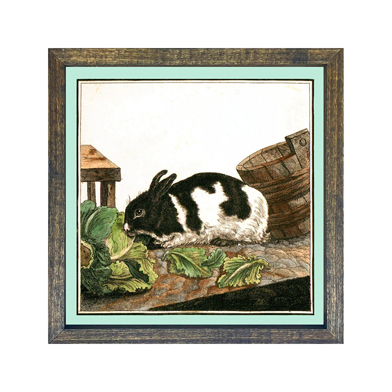 Vintage Black & White Bunny