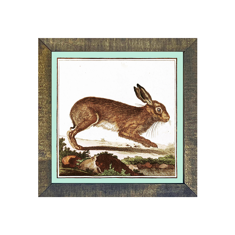 Vintage Brown Bunny