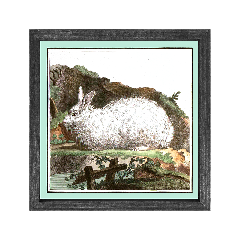 Vintage Bunny