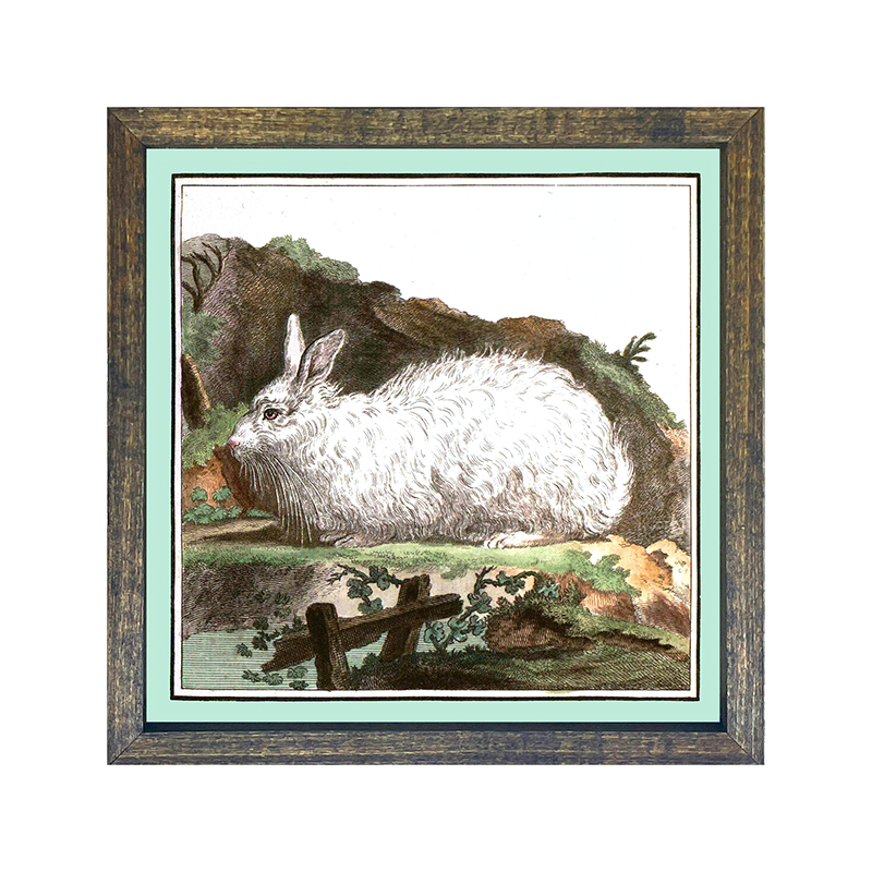 Vintage Bunny