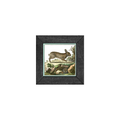 Gallery Frame