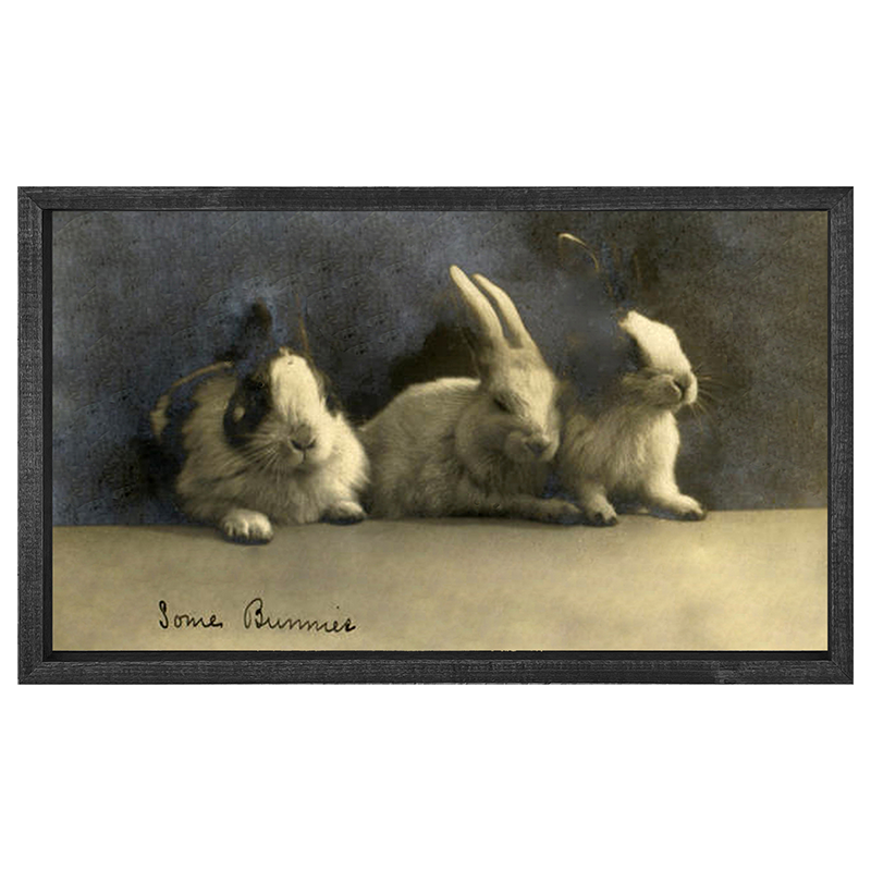 Some Bunnies