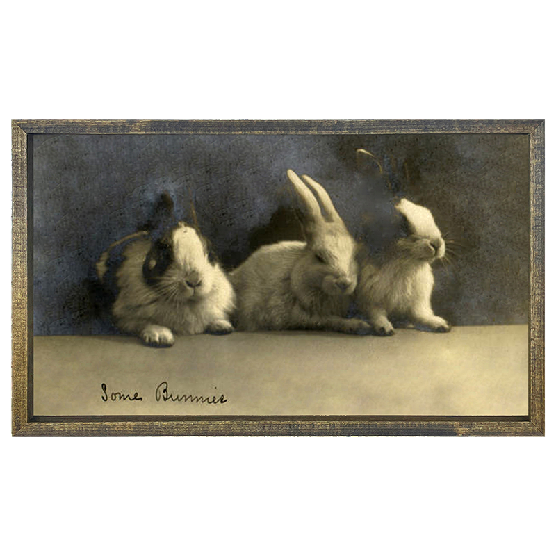 Some Bunnies