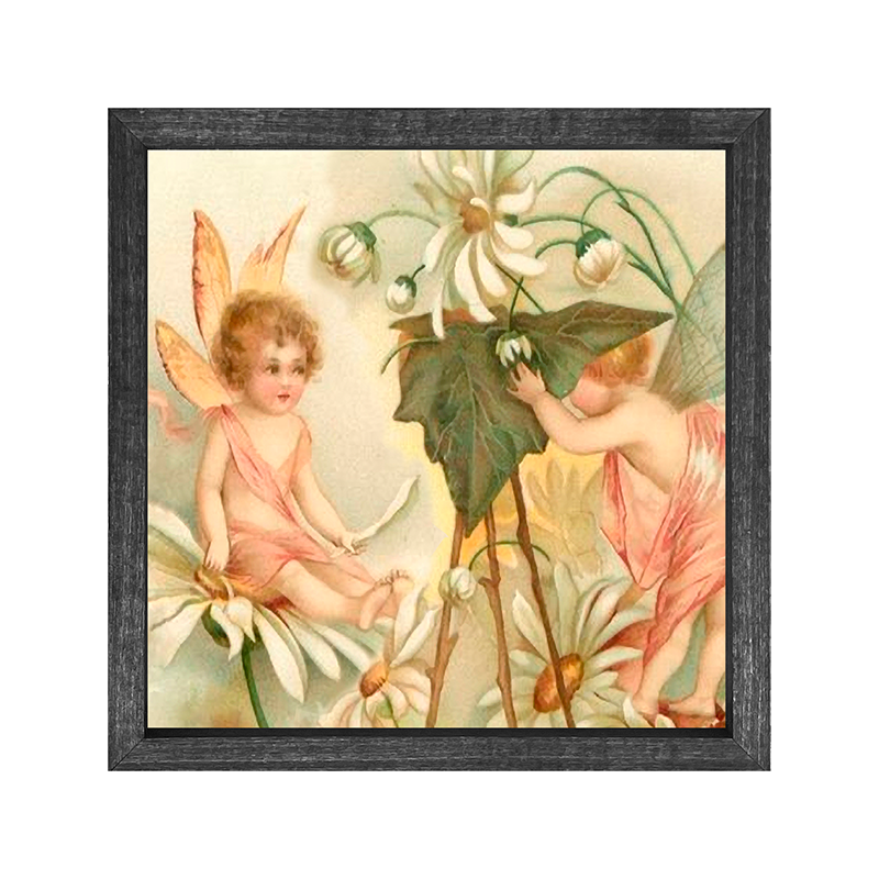 Fairy - Photo