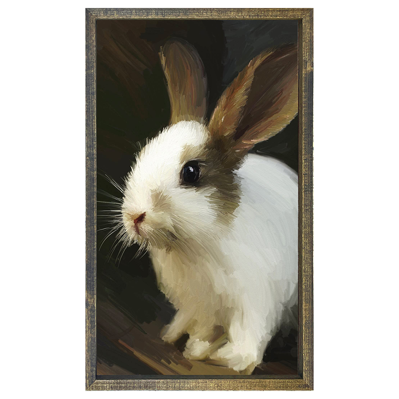 sweet bunny