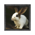 Gallery Frame