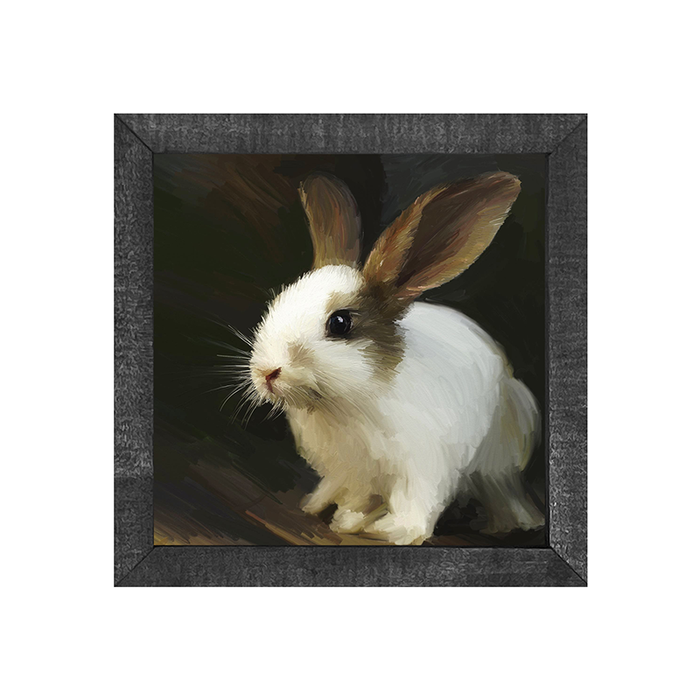 Sweet Bunny