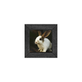 Gallery Frame