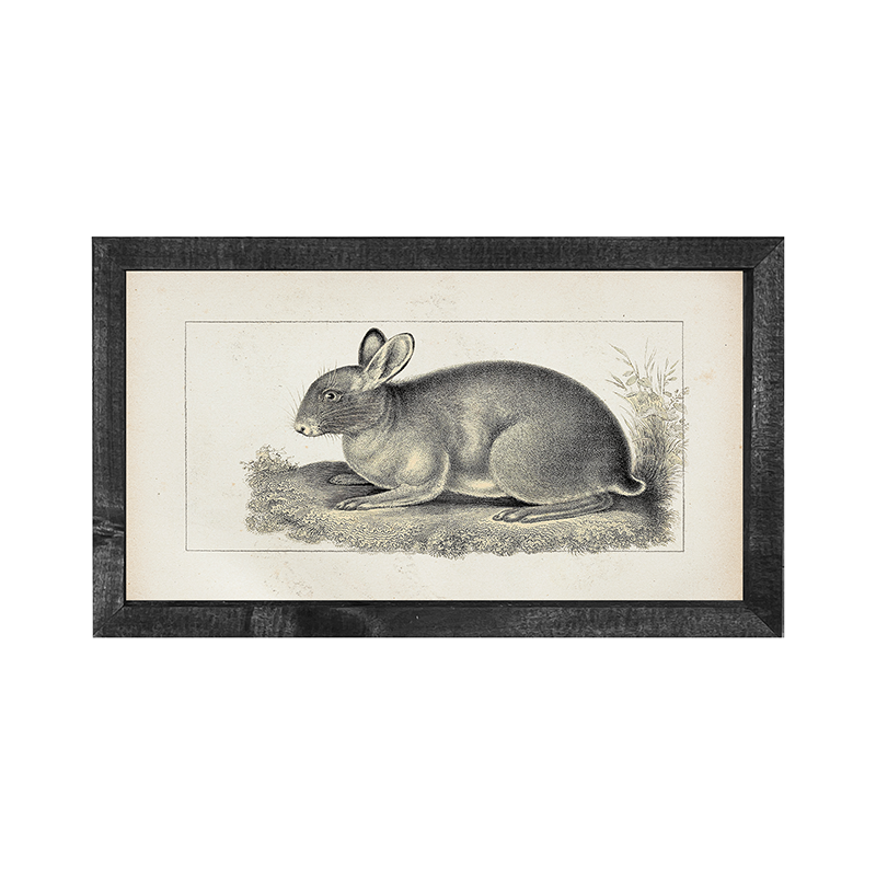 Vintage-short ear bunny