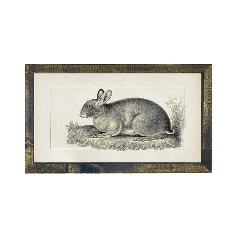 Vintage-short ear bunny