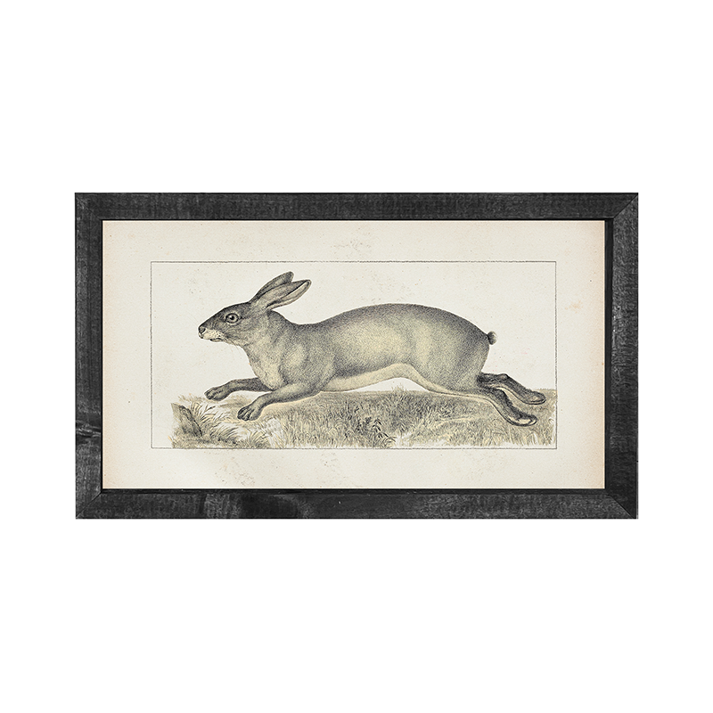 Vintage-long ear bunny