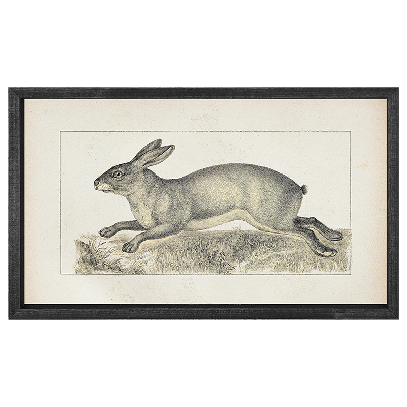 Vintage-long ear bunny