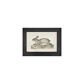 Gallery Frame