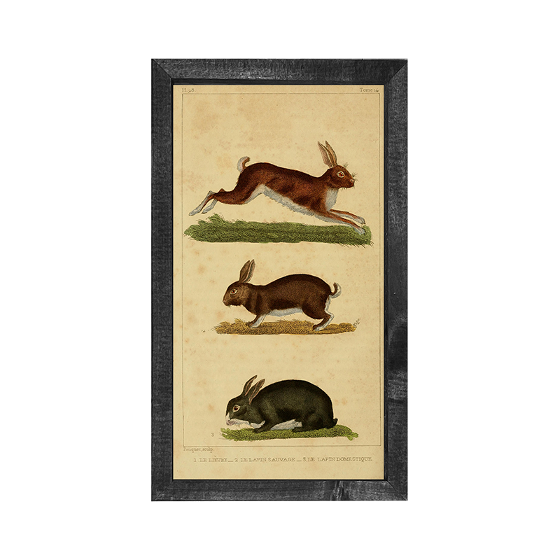 Vintage-trio of bunnies