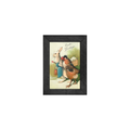 Gallery Frame