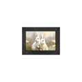 Gallery Frame